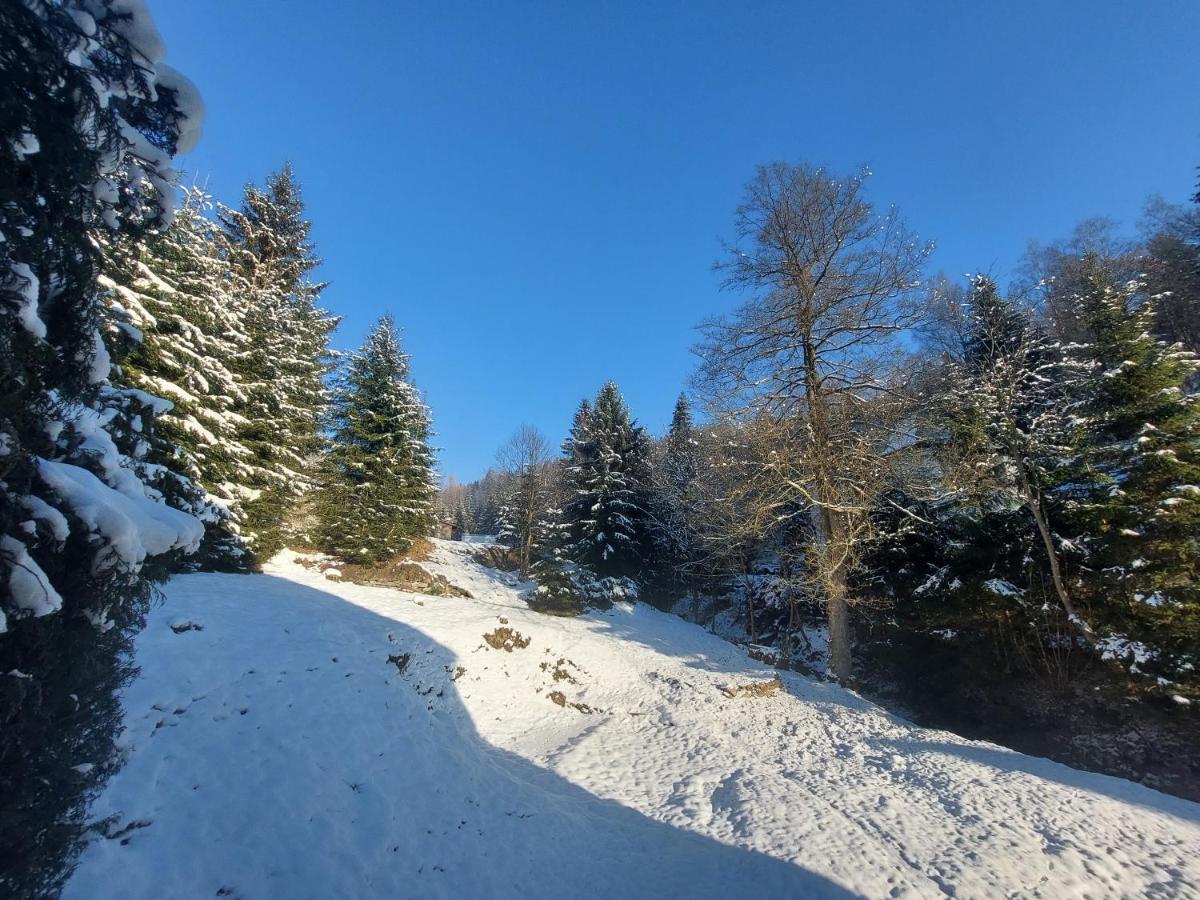 Rezidence Greenhill ⃰ ⃰ ⃰ Kraslice Bagian luar foto