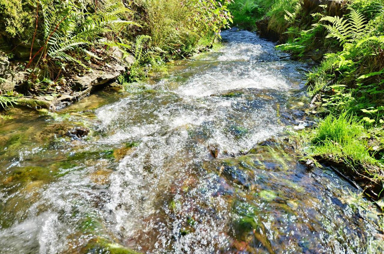 Rezidence Greenhill ⃰ ⃰ ⃰ Kraslice Bagian luar foto